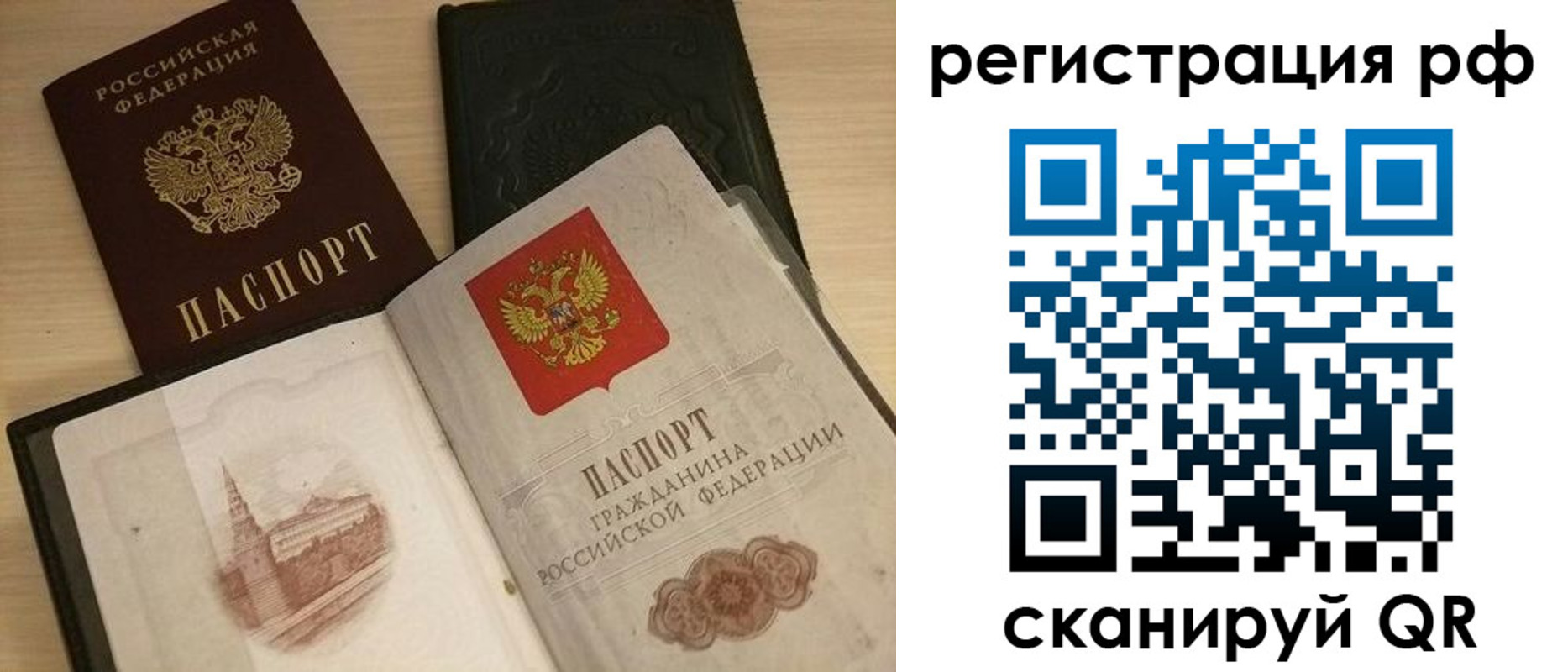 прописка в Курске